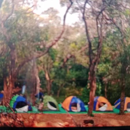Hotel Hilltone- Matheran Ngoại thất bức ảnh